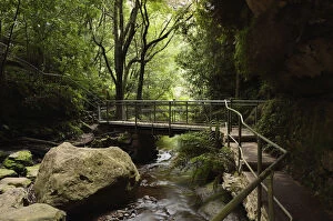 Images Dated 25th May 2011: Leura cascades, Blue Mountains