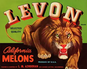 Stalking Prints: Levon Brand Melons