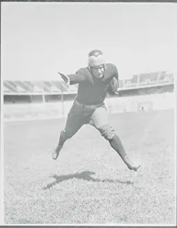 Newton Prints: Lewis Hinchman on the Field