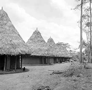 Liberian Village