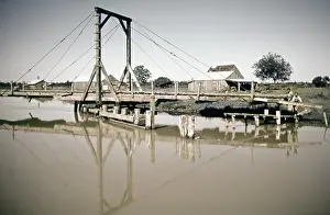 Swamp Prints: Life On The Bayou