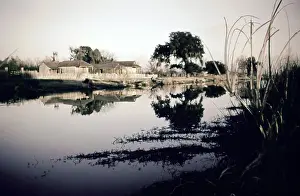 Swamp Prints: Life On The Bayou