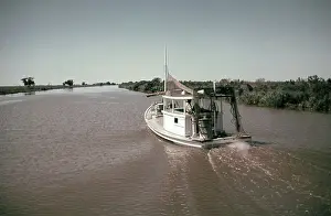 Creek Prints: Life On The Bayou
