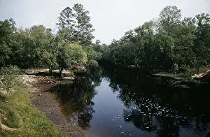 Creek Prints: Life On The Bayou