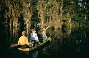 Creek Prints: Life On The Bayou