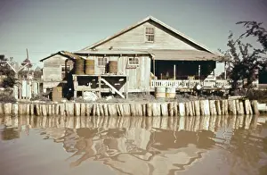 Creek Prints: Life On The Bayou