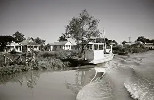 Creek Prints: Life On The Bayou