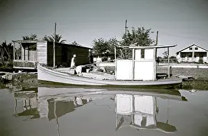 Creek Prints: Life On The Bayou