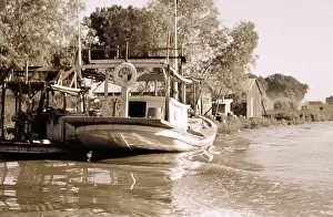 Creek Prints: Life On The Bayou