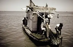 Life On The Bayou