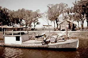 Creek Prints: Life On The Bayou