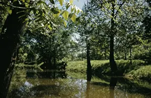 Creek Prints: Life On The Bayou
