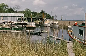 Creek Prints: Life On The Bayou