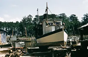Creek Prints: Life On The Bayou