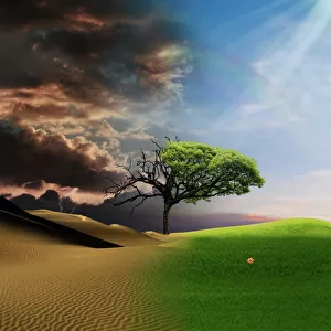 Desert Gallery: Life and death