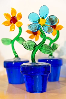 Burano Gallery: Life is a flower