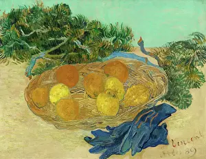 Gloves Prints: Still Life Of Oranges And Lemons With Blue Gloves