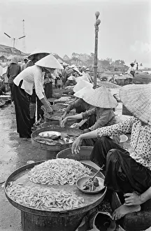 Prints of Vietnamese women, wearing traditional non la hats, shelling seafood on an embankment of the Saigon River as it flows through Saigon, Vietnam, 30th August 1965 Vietnam Prints: Life Along The Saigon River