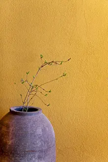 Decorations Prints: Still life with a terracotta amphora and a branch in front of a yellow wall, Turkey