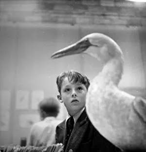 Museums And Libraries Prints: Almost Lifelike