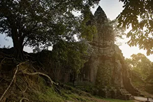 Images Dated 12th October 2012: last light at main gate of angkor thom and Ruin wall and root