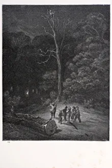 Spooky Gallery: Light in the wood