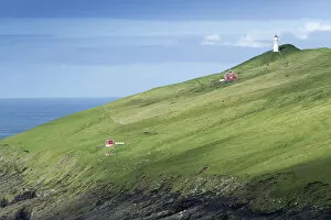 Images Dated 31st May 2013: Lighthouse on the Mykinesholmur, Mykines, Utoyggjar, Faroe Islands, Denmark