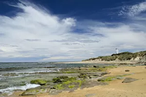 Images Dated 25th December 2011: Lighthouse at Waipapa Point with clouds in the sky, sandy beach with algae covered rocks at