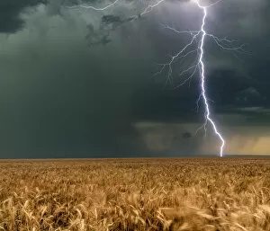 Images Dated 23rd June 2017: Lightning Bolt with a Hail Core and wheat crops, Colorado, USA