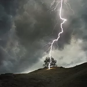 Lightning Storms Gallery: Lightning striking a lone tree during stormy weather