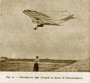 Lilienthal Flight