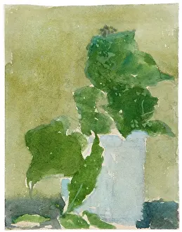 Object Prints: Lilies Of The Valley In Jug, 1896-1939