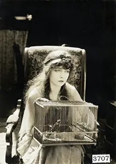 Cage Prints: Lillian Gish Holding Birdcage