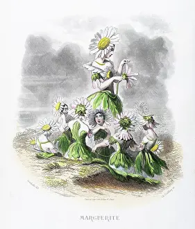 Grandville Prints: Lily flower - Stunning Hand-colored plate from 'Les Fleurs Animees by J