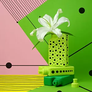 Images Dated 4th February 2017: lily, green, greenery, color of the year, pantone, bottles, color blocking, stripes