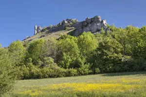 Images Dated 8th May 2011: Limestone cliffs, Ehrenburg plateau, outlier, nature reserve