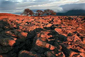 Images Dated 10th November 2011: Limestone rocks