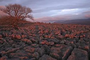 Images Dated 10th November 2011: Limestone rocks