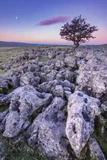 Limestone sunrise. Yorkshire Dales. UK