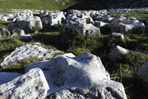 Geologic Prints: Limestones in the Schrattenkalk with dolina behind it