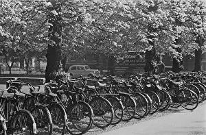 Collection Prints: Line Of Bicycles