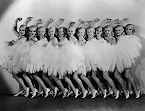 Showgirl Prints: Line Of Chorus Girls In Feathered Costumes
