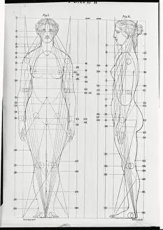 Line Drawing of the Female Figure