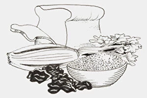 Images Dated 6th February 2007: Line drawing of foods that provide fiber including bread, corn, cereal