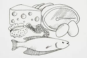 Healthy Eating Gallery: Line drawing of foods that provide protein, including meat and fish