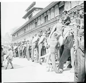Kathmandu Prints: A Line of Elephants