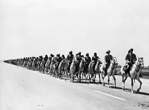 Baghdad Prints: Line of Iraqi Cavalry on Road in Desert