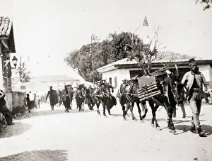 Leading Prints: Line of Italian Soldiers Leading Horses