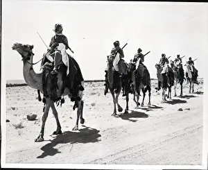 Jordan Prints: Line of Men Riding Camels in Desert