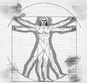 Ink Drawing Prints: Line Version Vitruvian Man by Leonardo da Vinci